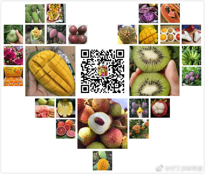 水果代理微信一件代发 水果一手货源