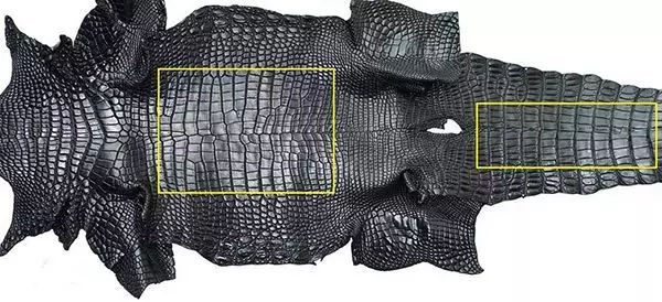 教你如何快速辨别买的皮带是不是真的鳄鱼皮？(www.zzx8.com)